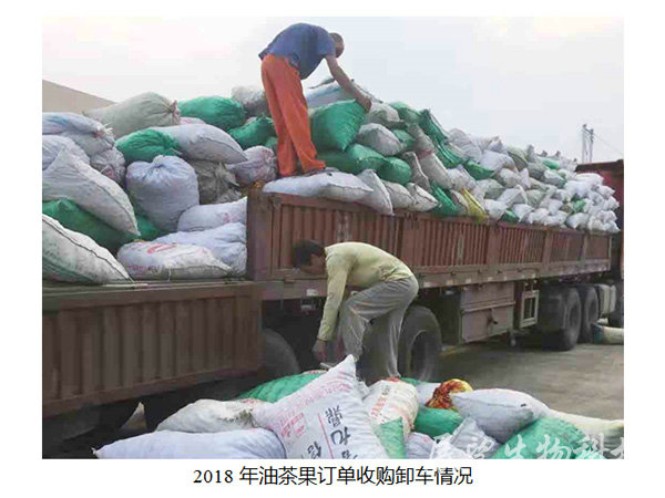 公司实景5 公司实景5