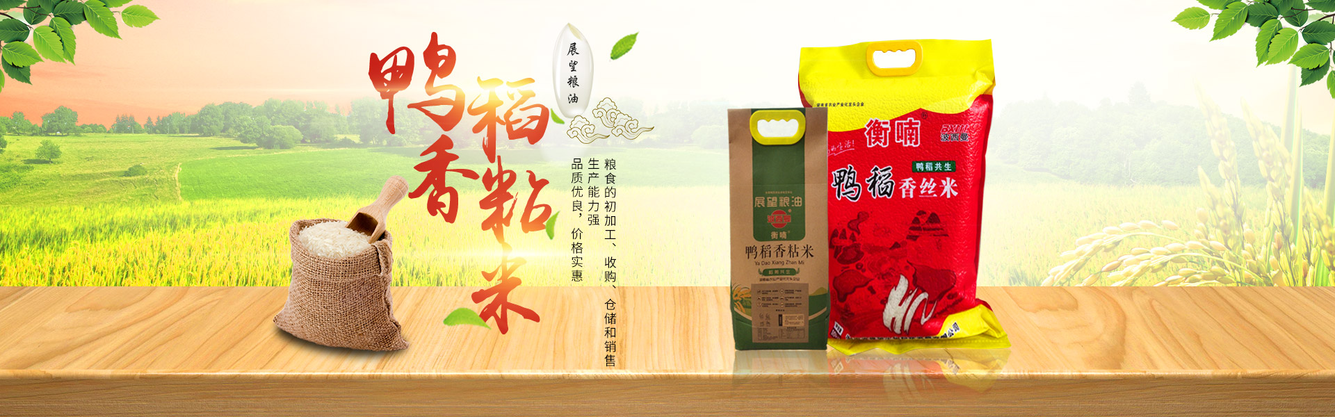 ʡ̫ɼtyc122ccƼչ޹˾_ũƷӹ|ʳչ