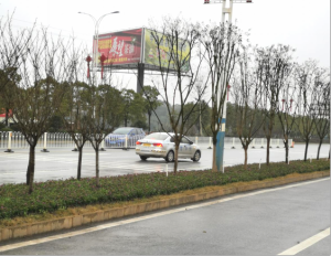 农副产品加工,粮食收购,油料的种植,湖南省太阳成集团tyc122cc入口生物科技发展有限公司 农副产品加工,粮食收购,油料的种植,湖南省太阳成集团tyc122cc入口生物科技发展有限公司
